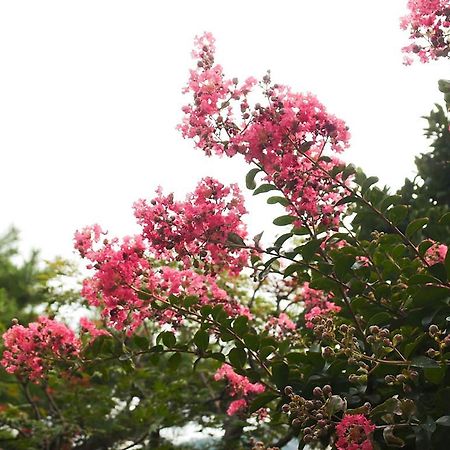 Cindy'S B&B Seoul Ngoại thất bức ảnh