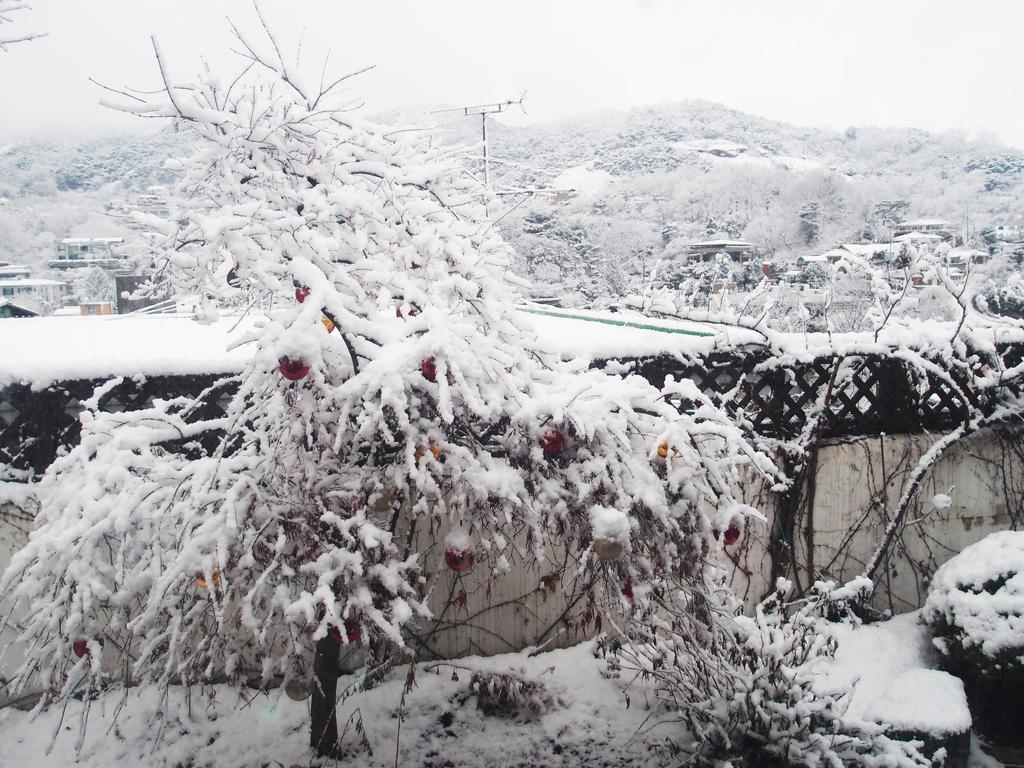 Cindy'S B&B Seoul Ngoại thất bức ảnh