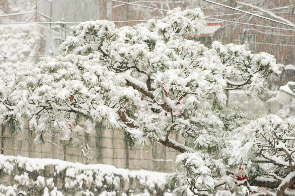 Cindy'S B&B Seoul Ngoại thất bức ảnh