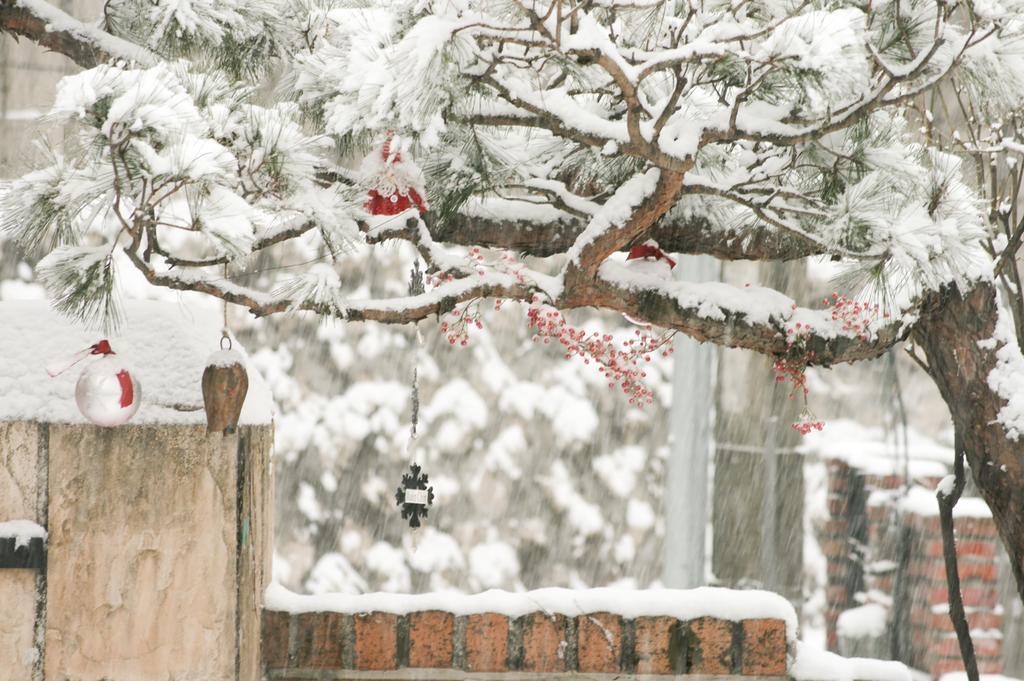 Cindy'S B&B Seoul Ngoại thất bức ảnh