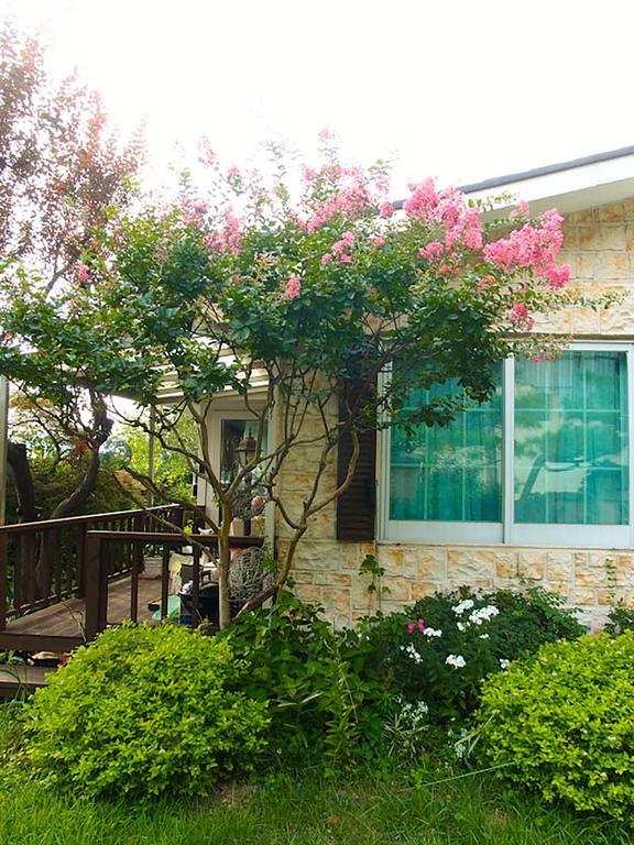 Cindy'S B&B Seoul Ngoại thất bức ảnh